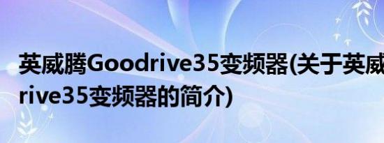 英威腾Goodrive35变频器(关于英威腾Goodrive35变频器的简介)