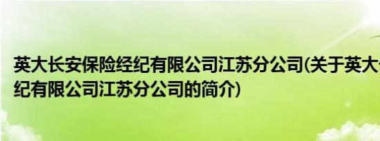 英大长安保险经纪有限公司江苏分公司(关于英大长安保险经纪有限公司江苏分公司的简介)