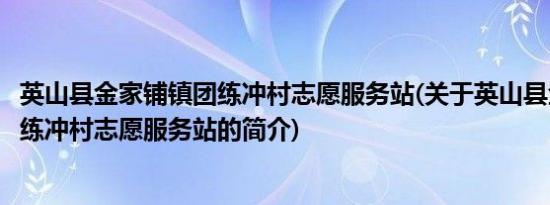 英山县金家铺镇团练冲村志愿服务站(关于英山县金家铺镇团练冲村志愿服务站的简介)