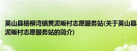 英山县杨柳湾镇黄泥畈村志愿服务站(关于英山县杨柳湾镇黄泥畈村志愿服务站的简介)