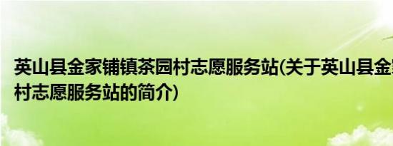 英山县金家铺镇茶园村志愿服务站(关于英山县金家铺镇茶园村志愿服务站的简介)