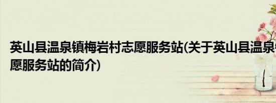 英山县温泉镇梅岩村志愿服务站(关于英山县温泉镇梅岩村志愿服务站的简介)