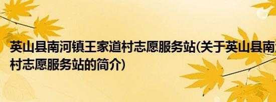 英山县南河镇王家道村志愿服务站(关于英山县南河镇王家道村志愿服务站的简介)