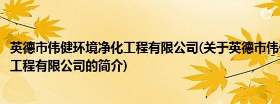 英德市伟健环境净化工程有限公司(关于英德市伟健环境净化工程有限公司的简介)