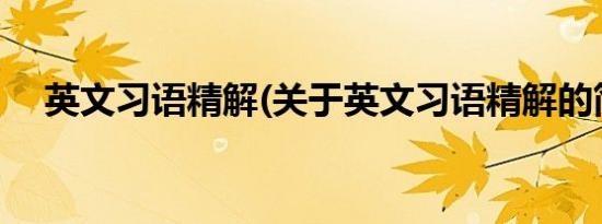 英文习语精解(关于英文习语精解的简介)