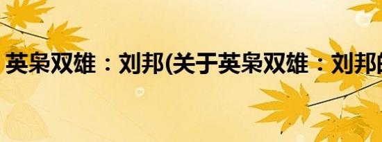 英枭双雄：刘邦(关于英枭双雄：刘邦的简介)