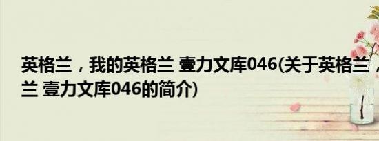 英格兰，我的英格兰 壹力文库046(关于英格兰，我的英格兰 壹力文库046的简介)