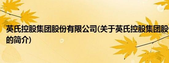 英氏控股集团股份有限公司(关于英氏控股集团股份有限公司的简介)