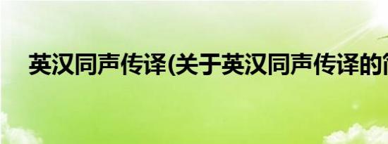 英汉同声传译(关于英汉同声传译的简介)