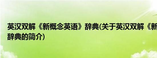 英汉双解《新概念英语》辞典(关于英汉双解《新概念英语》辞典的简介)