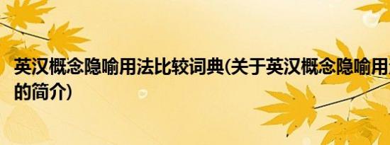 英汉概念隐喻用法比较词典(关于英汉概念隐喻用法比较词典的简介)