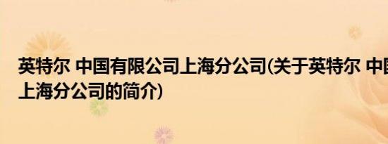 英特尔 中国有限公司上海分公司(关于英特尔 中国有限公司上海分公司的简介)