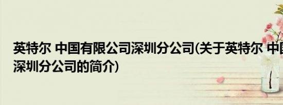 英特尔 中国有限公司深圳分公司(关于英特尔 中国有限公司深圳分公司的简介)