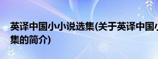 英译中国小小说选集(关于英译中国小小说选集的简介)