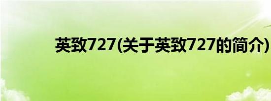 英致727(关于英致727的简介)