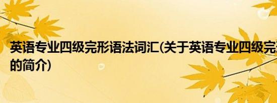 英语专业四级完形语法词汇(关于英语专业四级完形语法词汇的简介)