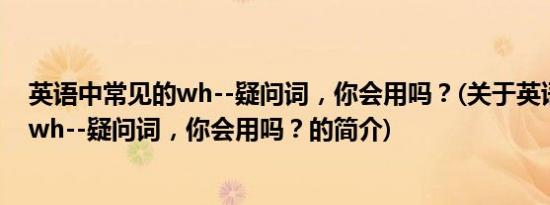 英语中常见的wh--疑问词，你会用吗？(关于英语中常见的wh--疑问词，你会用吗？的简介)