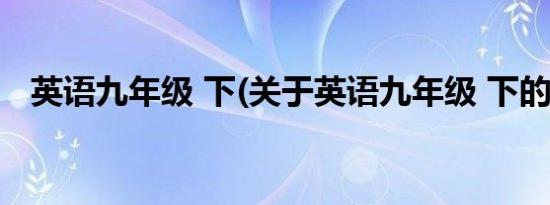 英语九年级 下(关于英语九年级 下的简介)