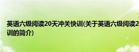 英语六级阅读20天冲关快训(关于英语六级阅读20天冲关快训的简介)