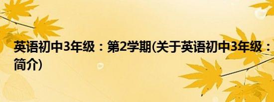 英语初中3年级：第2学期(关于英语初中3年级：第2学期的简介)