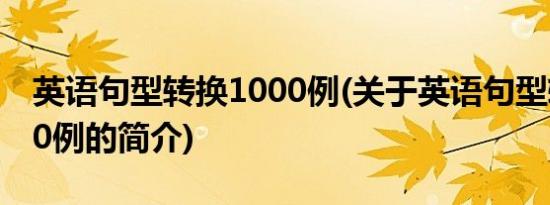 英语句型转换1000例(关于英语句型转换1000例的简介)