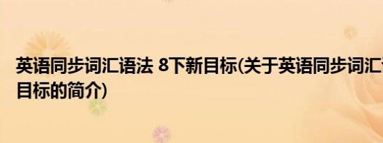 英语同步词汇语法 8下新目标(关于英语同步词汇语法 8下新目标的简介)