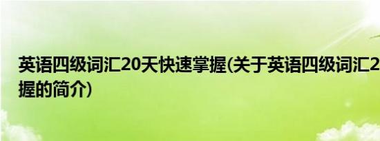 英语四级词汇20天快速掌握(关于英语四级词汇20天快速掌握的简介)