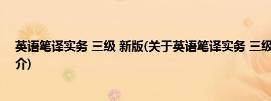 英语笔译实务 三级 新版(关于英语笔译实务 三级 新版的简介)