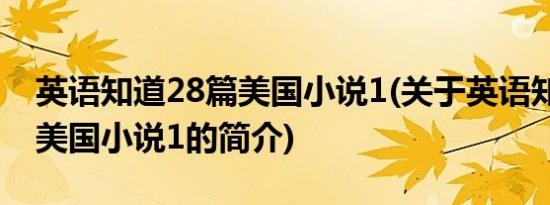 英语知道28篇美国小说1(关于英语知道28篇美国小说1的简介)