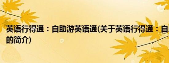 英语行得通：自助游英语通(关于英语行得通：自助游英语通的简介)