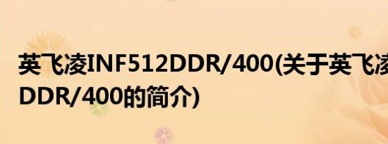 英飞凌INF512DDR/400(关于英飞凌INF512DDR/400的简介)