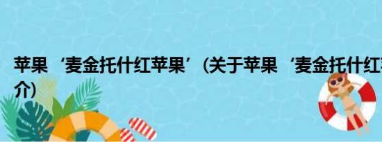 苹果‘麦金托什红苹果’(关于苹果‘麦金托什红苹果’的简介)