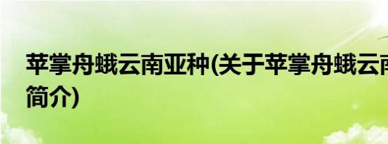 苹掌舟蛾云南亚种(关于苹掌舟蛾云南亚种的简介)