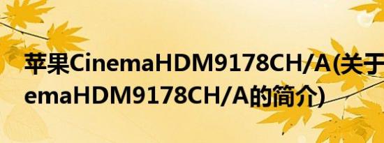 苹果CinemaHDM9178CH/A(关于苹果CinemaHDM9178CH/A的简介)