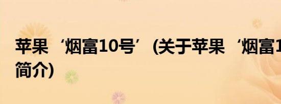 苹果‘烟富10号’(关于苹果‘烟富10号’的简介)