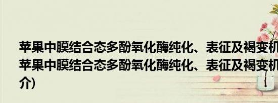 苹果中膜结合态多酚氧化酶纯化、表征及褐变机理研究(关于苹果中膜结合态多酚氧化酶纯化、表征及褐变机理研究的简介)