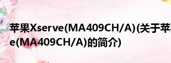 苹果Xserve(MA409CH/A)(关于苹果Xserve(MA409CH/A)的简介)