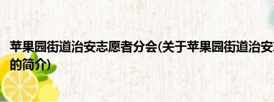 苹果园街道治安志愿者分会(关于苹果园街道治安志愿者分会的简介)