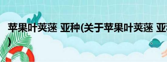 苹果叶荚蒾 亚种(关于苹果叶荚蒾 亚种的简介)