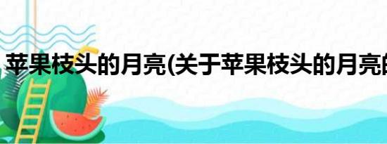 苹果枝头的月亮(关于苹果枝头的月亮的简介)