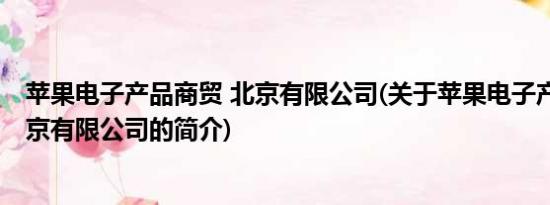 苹果电子产品商贸 北京有限公司(关于苹果电子产品商贸 北京有限公司的简介)