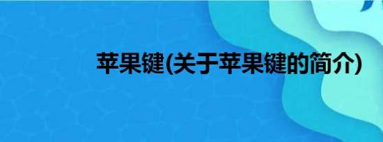 苹果键(关于苹果键的简介)