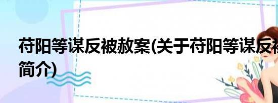 苻阳等谋反被赦案(关于苻阳等谋反被赦案的简介)