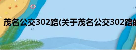 茂名公交302路(关于茂名公交302路的简介)