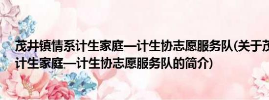 茂井镇情系计生家庭—计生协志愿服务队(关于茂井镇情系计生家庭—计生协志愿服务队的简介)