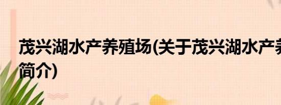 茂兴湖水产养殖场(关于茂兴湖水产养殖场的简介)