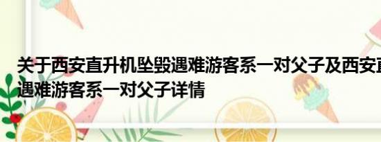 关于西安直升机坠毁遇难游客系一对父子及西安直升机坠毁遇难游客系一对父子详情