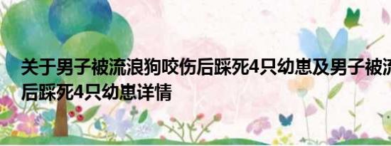 关于男子被流浪狗咬伤后踩死4只幼崽及男子被流浪狗咬伤后踩死4只幼崽详情