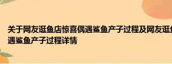 关于网友逛鱼店惊喜偶遇鲨鱼产子过程及网友逛鱼店惊喜偶遇鲨鱼产子过程详情