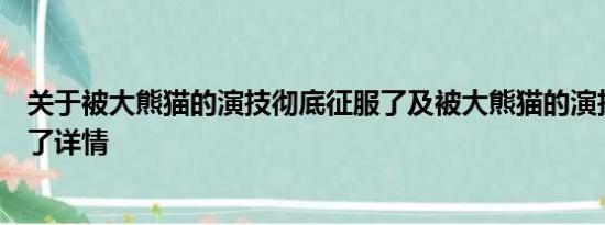 关于被大熊猫的演技彻底征服了及被大熊猫的演技彻底征服了详情